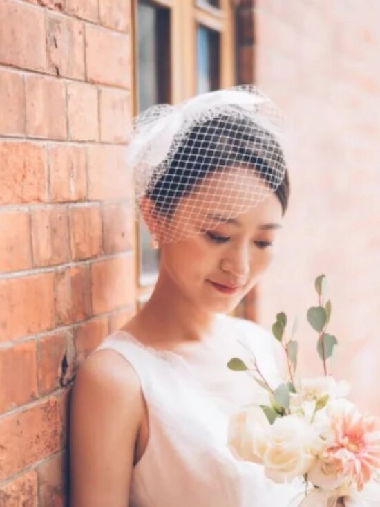 Wedding Veil French Netting Birdcage Headband